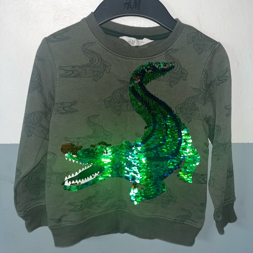 🤍H&M Dinosaur Sweatshirt🤍